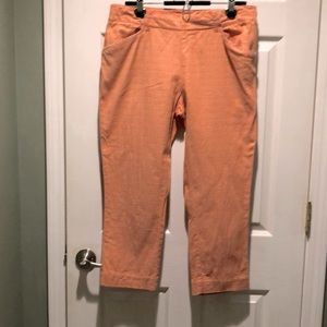 Anthropologie Cartonnier Charlie Trouser Pants